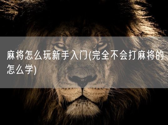 麻将怎么玩新手入门(完全不会打麻将的怎么学)(图1)