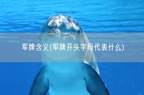 军牌含义(军牌开头字母代表什么)(图1)