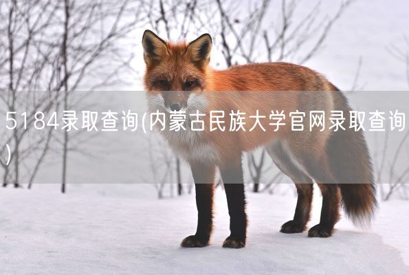 5184录取查询(内蒙古民族大学官网录取查询)(图1) 5184录取查询(内蒙古民族大学官网录取查询)(图1)