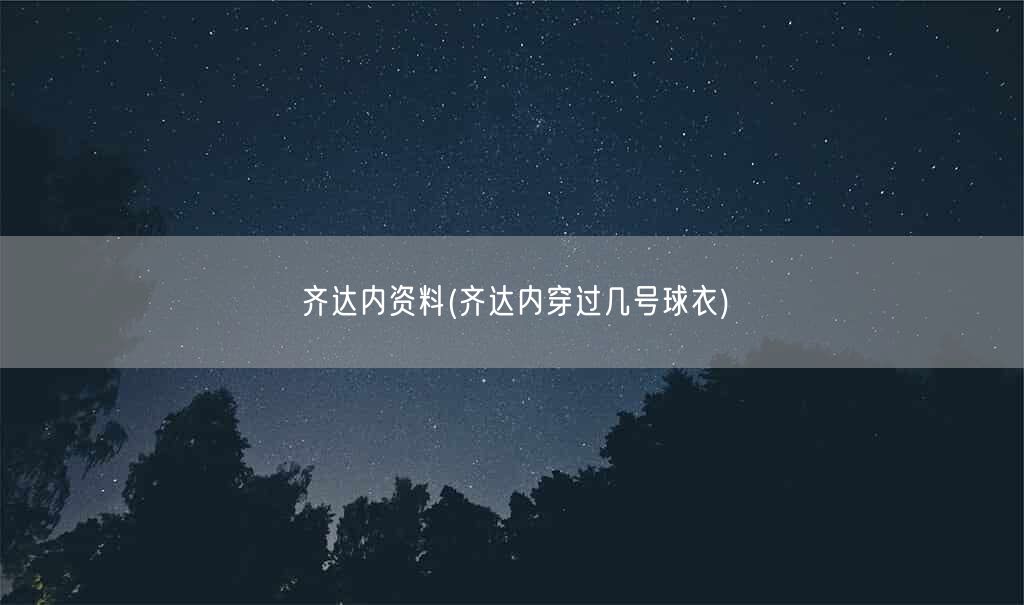 齐达内资料(齐达内穿过几号球衣)(图1)