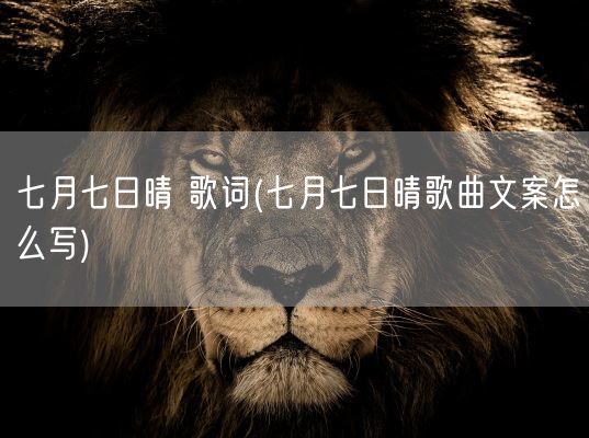 七月七日晴 歌词(七月七日晴歌曲文案怎么写)(图1)