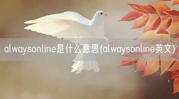 alwaysonline是什么意思(alwaysonline英文)(图1)
