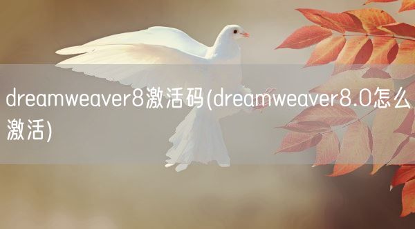 dreamweaver8激活码(dreamweaver8.0怎么激活)(图1)