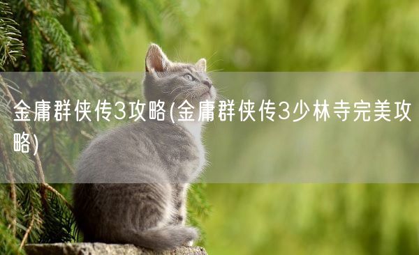 金庸群侠传3攻略(金庸群侠传3少林寺完美攻略)(图1) 金庸群侠传3攻略(金庸群侠传3少林寺完美攻略)(图1)