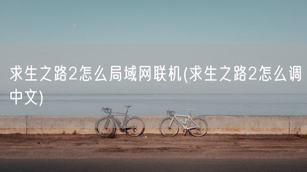 求生之路2怎么局域网联机(求生之路2怎么调中文)(图1)
