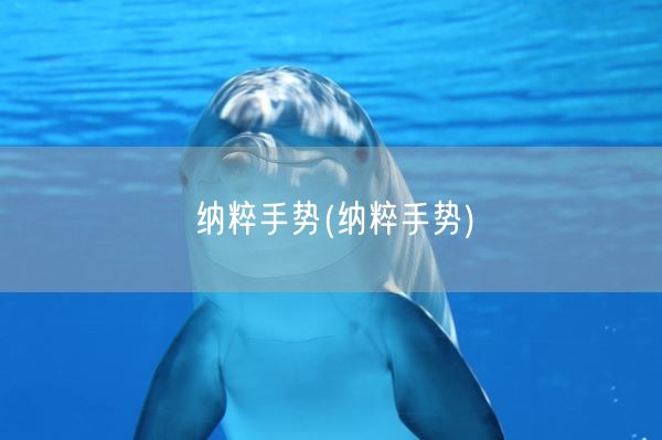 纳粹手势(纳粹手势)(图1)
