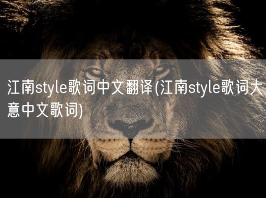 江南style歌词中文翻译(江南style歌词大意中文歌词)(图1)