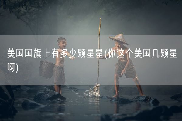 美国国旗上有多少颗星星(你这个美国几颗星啊)(图1)