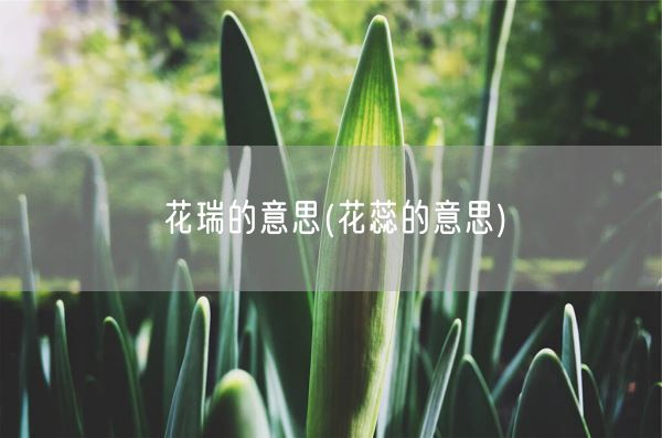 花瑞的意思(花蕊的意思)(图1)
