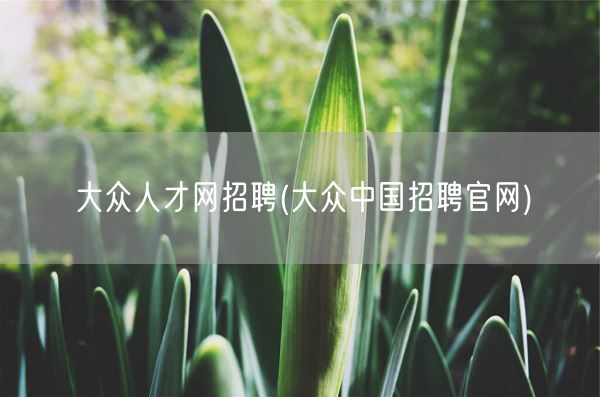 大众人才网招聘(大众中国招聘官网)(图1)