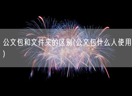 公文包和文件夹的区别(公文包什么人使用)(图1) 公文包和文件夹的区别(公文包什么人使用)(图1)