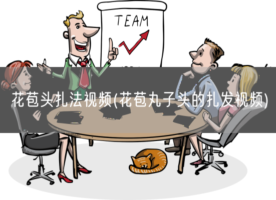 花苞头扎法视频(花苞丸子头的扎发视频)(图1)