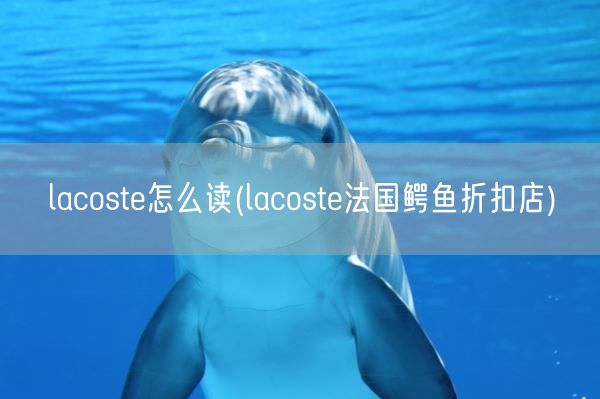 lacoste怎么读(lacoste法国鳄鱼折扣店)(图1)
