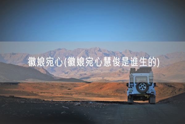徽娘宛心(徽娘宛心慧俊是谁生的)(图1)