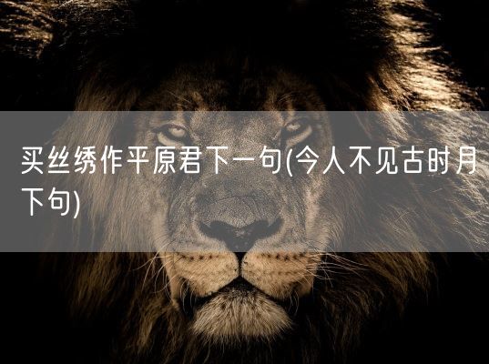 买丝绣作平原君下一句(今人不见古时月下句)(图1)