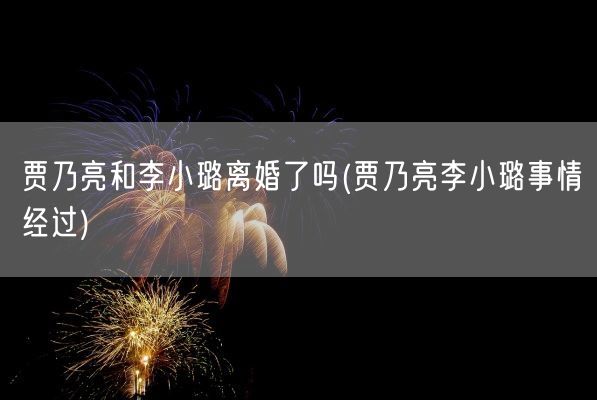 贾乃亮和李小璐离婚了吗(贾乃亮李小璐事情经过)(图1)
