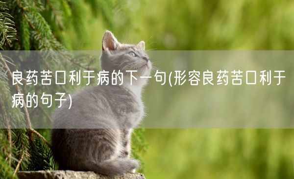 良药苦口利于病的下一句(形容良药苦口利于病的句子)(图1)