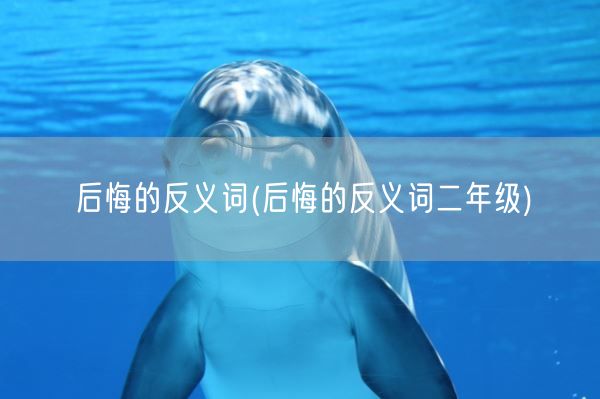 后悔的反义词(后悔的反义词二年级)(图1)