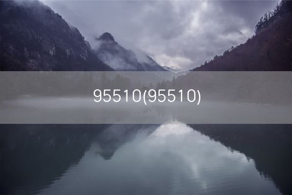 95510(95510)(图1) 95510(95510)(图1)