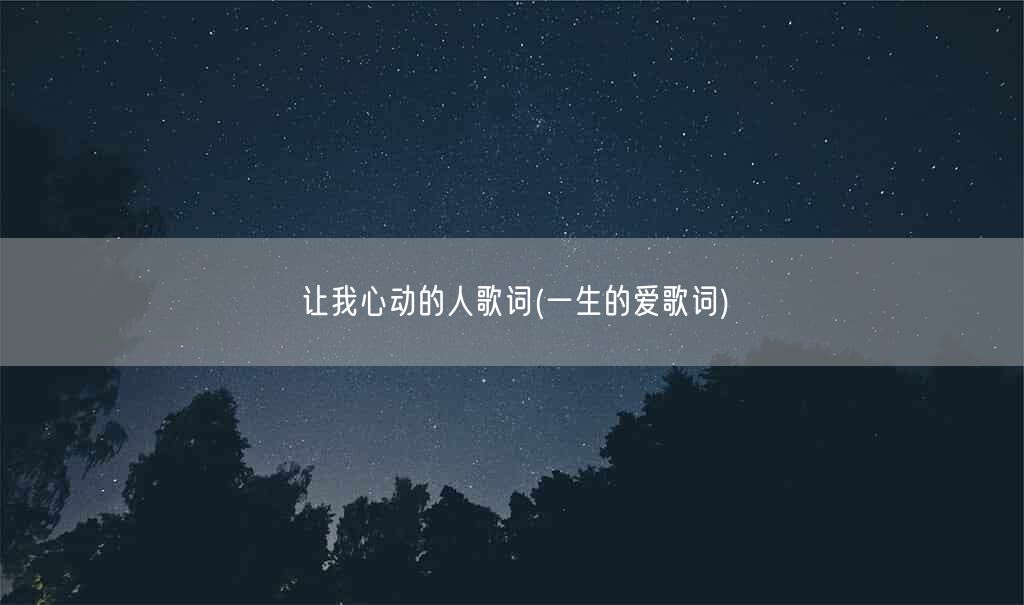 让我心动的人歌词(一生的爱歌词)(图1)