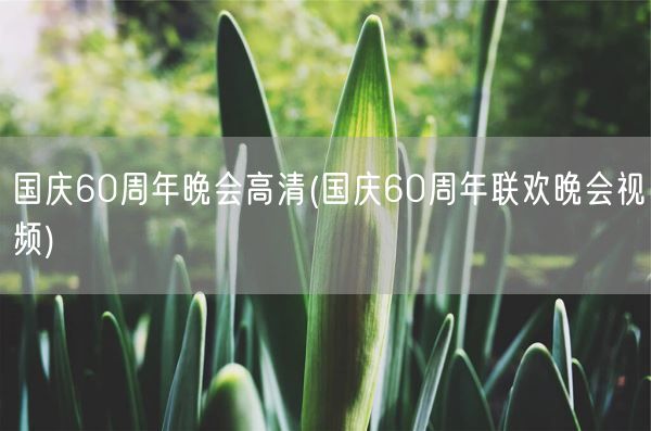 国庆60周年晚会高清(国庆60周年联欢晚会视频)(图1)