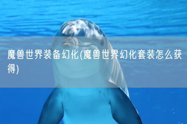 魔兽世界装备幻化(魔兽世界幻化套装怎么获得)(图1)