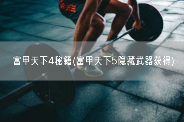 富甲天下4秘籍(富甲天下5隐藏武器获得)(图1)