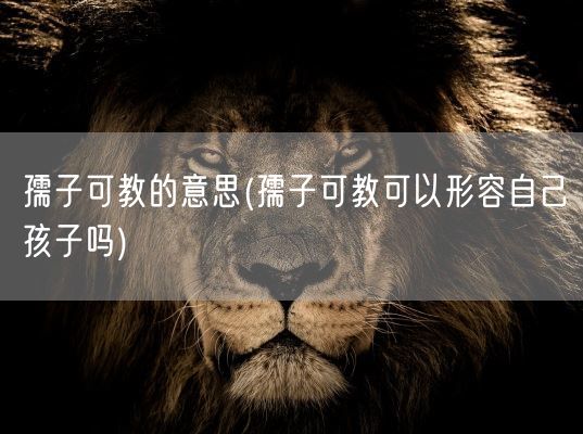 孺子可教的意思(孺子可教可以形容自己孩子吗)(图1)