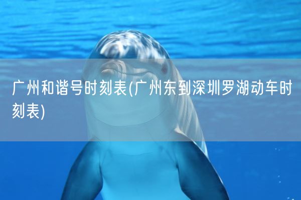 广州和谐号时刻表(广州东到深圳罗湖动车时刻表)(图1)