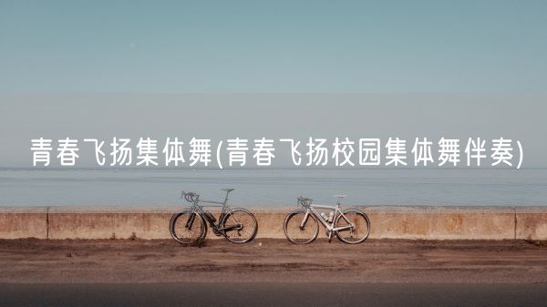青春飞扬集体舞(青春飞扬校园集体舞伴奏)(图1)