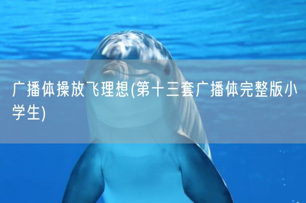 广播体操放飞理想(第十三套广播体完整版小学生)(图1)