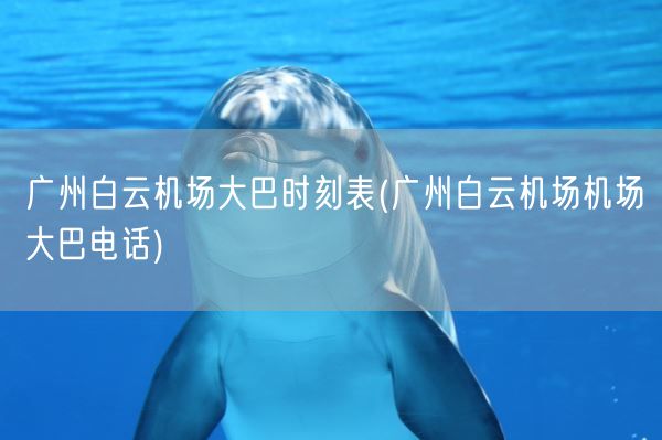 广州白云机场大巴时刻表(广州白云机场机场大巴电话)(图1)