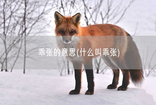 乖张的意思(什么叫乖张)(图1) 乖张的意思(什么叫乖张)(图1)