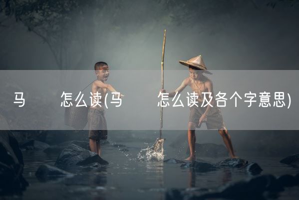 马騳骉怎么读(马騳骉怎么读及各个字意思)(图1) 马騳骉怎么读(马騳骉怎么读及各个字意思)(图1)
