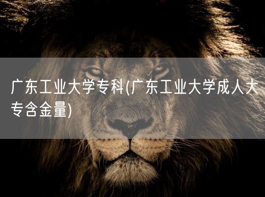 广东工业大学专科(广东工业大学成人大专含金量)(图1)