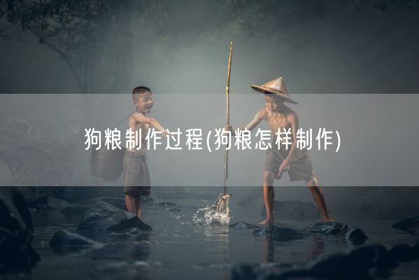 狗粮制作过程(狗粮怎样制作)(图1)