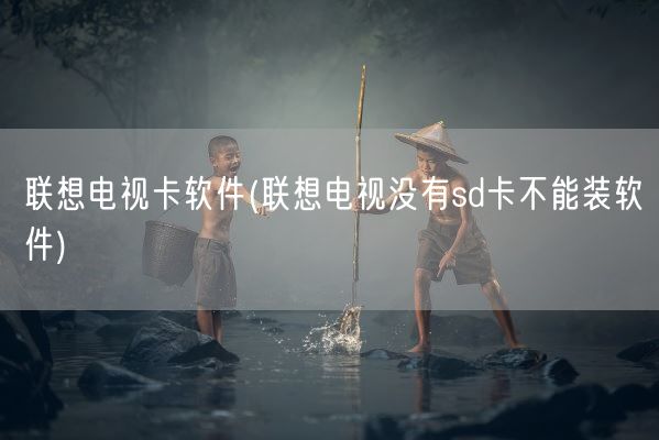联想电视卡软件(联想电视没有sd卡不能装软件)(图1)
