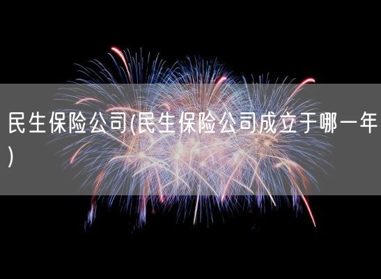 民生保险公司(民生保险公司成立于哪一年)(图1)