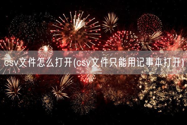 csv文件怎么打开(csv文件只能用记事本打开)(图1)