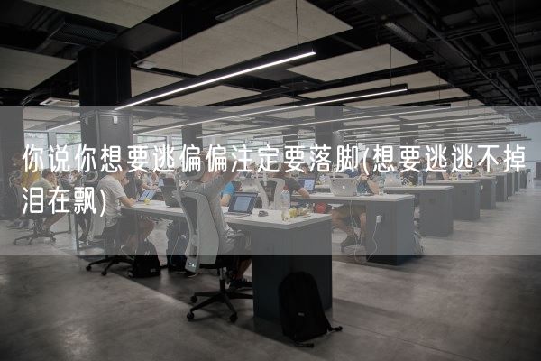 你说你想要逃偏偏注定要落脚(想要逃逃不掉泪在飘)(图1)