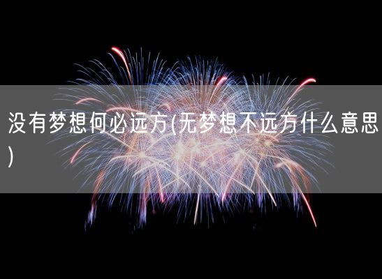 没有梦想何必远方(无梦想不远方什么意思)(图1)