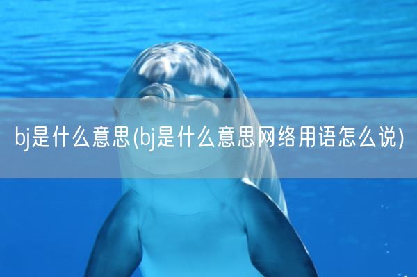 bj是什么意思(bj是什么意思网络用语怎么说)(图1)