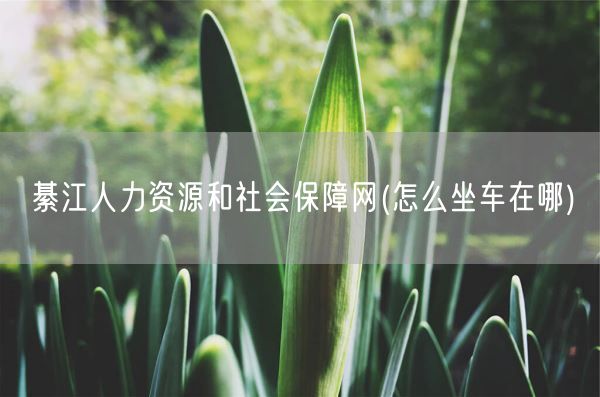 綦江人力资源和社会保障网(怎么坐车在哪)(图1) 綦江人力资源和社会保障网(怎么坐车在哪)(图1)