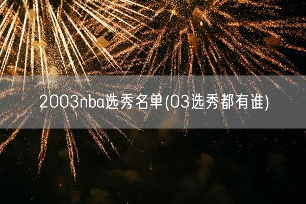 2003nba选秀名单(03选秀都有谁)(图1)