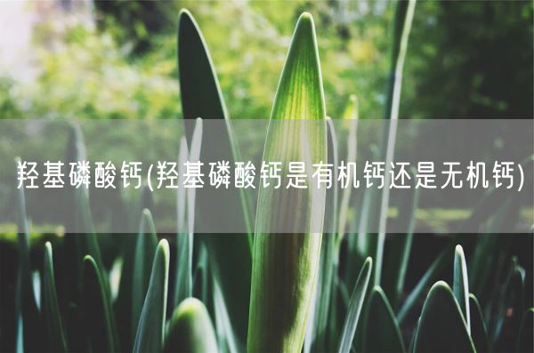 羟基磷酸钙(羟基磷酸钙是有机钙还是无机钙)(图1)