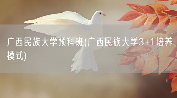广西民族大学预科班(广西民族大学3+1培养模式)(图1)
