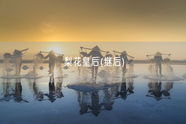 梨花皇后(继后)(图1)
