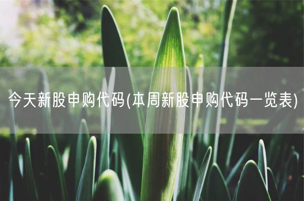 今天新股申购代码(本周新股申购代码一览表)(图1)