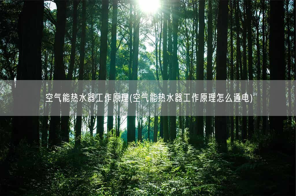 空气能热水器工作原理(空气能热水器工作原理怎么通电)(图1) 空气能热水器工作原理(空气能热水器工作原理怎么通电)(图1)