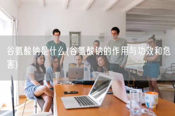 谷氨酸钠是什么(谷氨酸钠的作用与功效和危害)(图1)